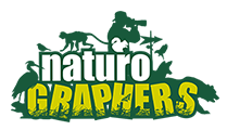 Safari Prize Sponsor