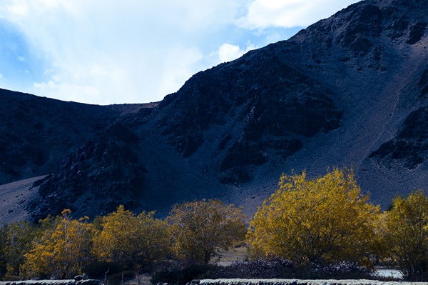 Autumn Arrived