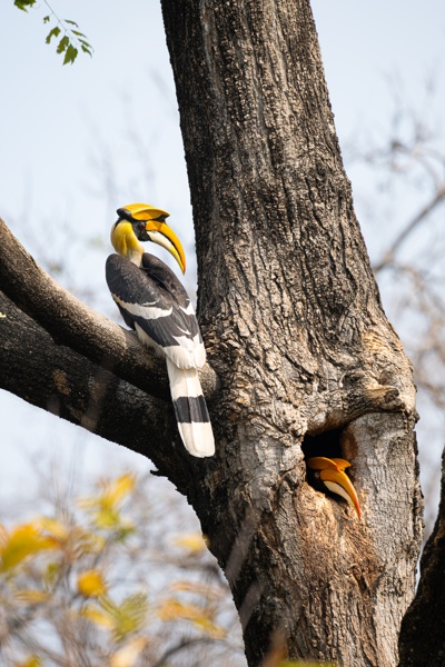 You & Me Together....