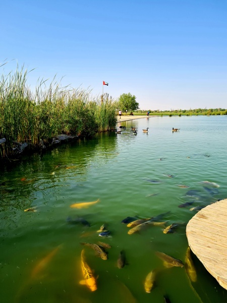 Love Lake