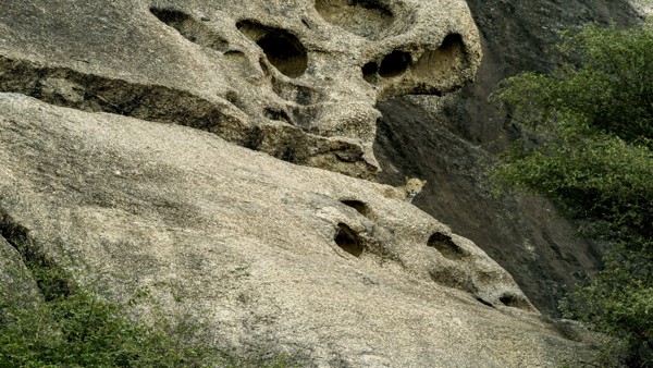 The leopard Rocks