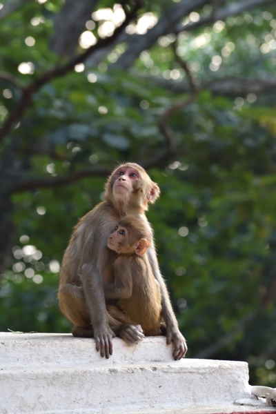 Motherhood- An Eternal Bond on Earth.