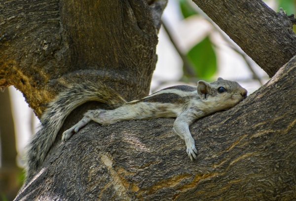 Just chilling