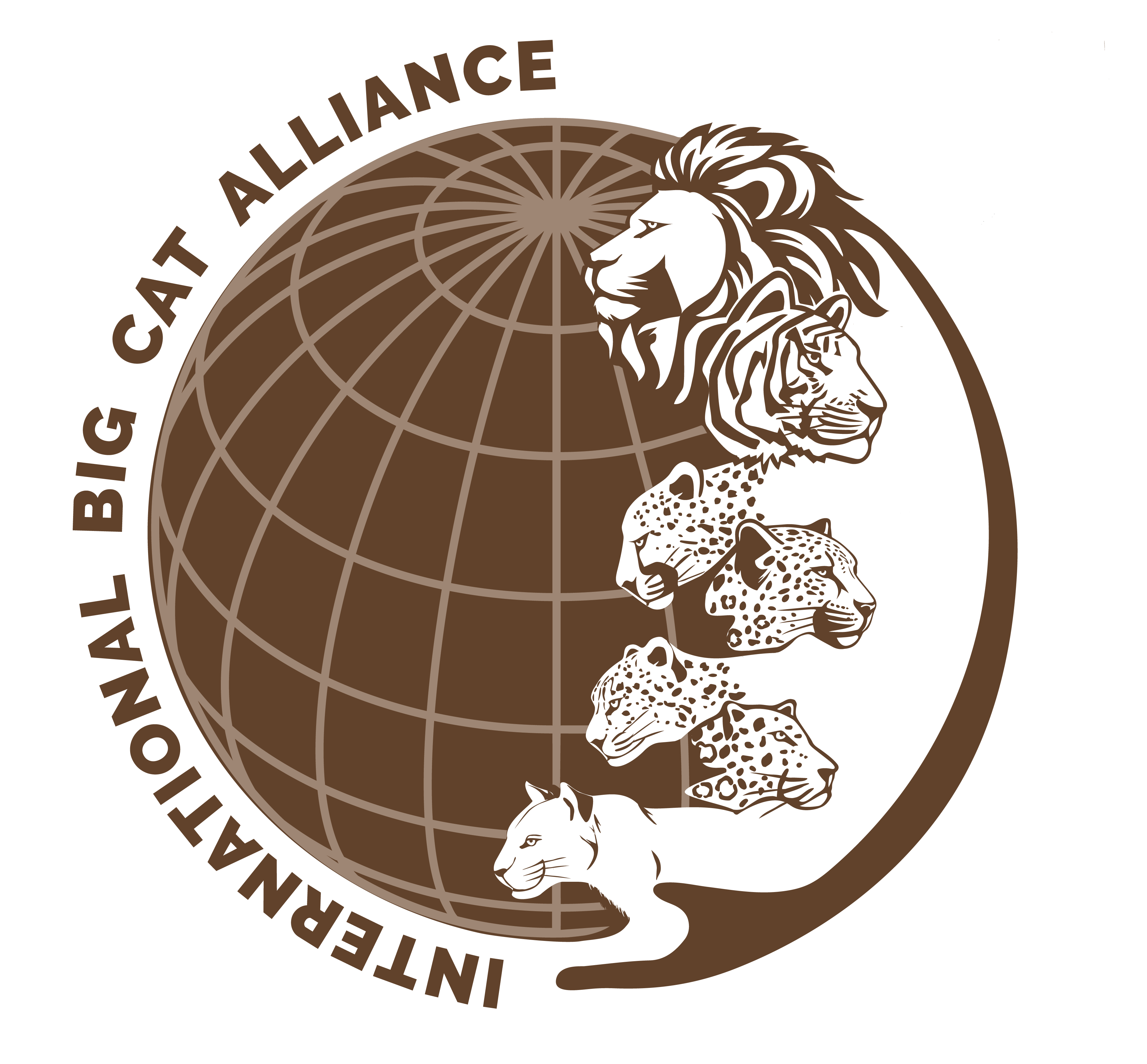 International Big Cat Alliance