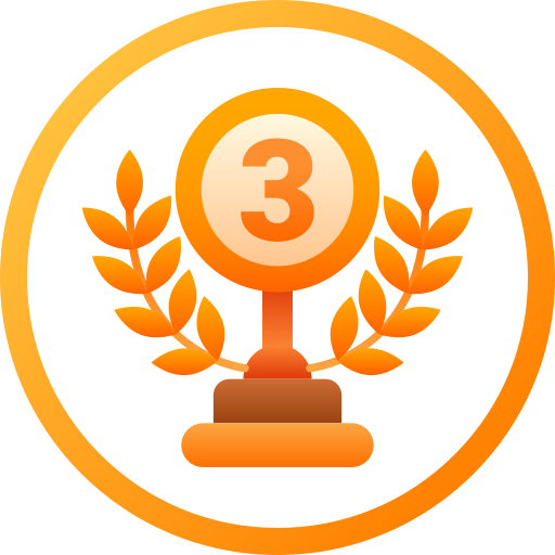 Bronze Award